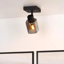 Alion Taklampe - Røykfarget/Svart