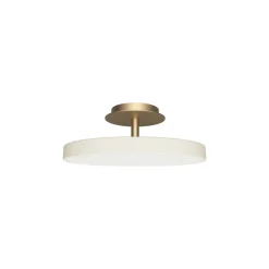 Asteria Plus medium