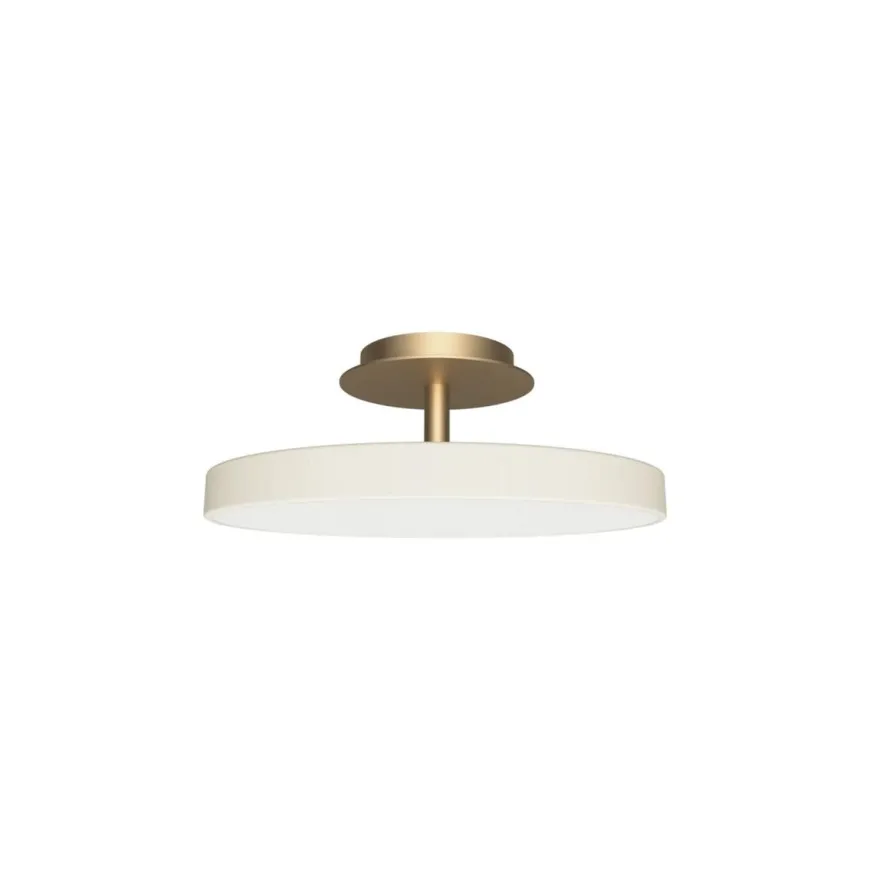 Asteria Plus medium