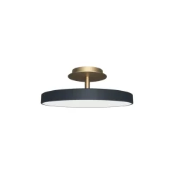 Asteria Plus medium