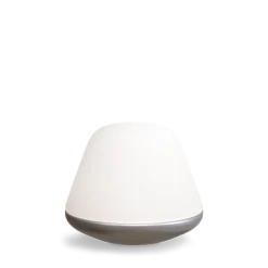 Bloom bordlampe small E27 - Satin sølv/Opal glass