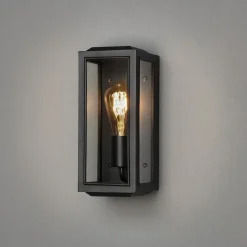 Carpi vegglampe utendørs IP44 - Svart/Klart glass