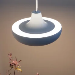 Cassini medium takpendel