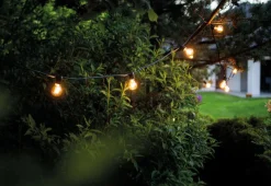 Garden Garland utendørs lysslynge 6 meter 10 lys IP65 startsett - Svart