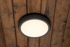 Luno taklampe 30 cm utendørs IP65 E27 - Grafitt grå