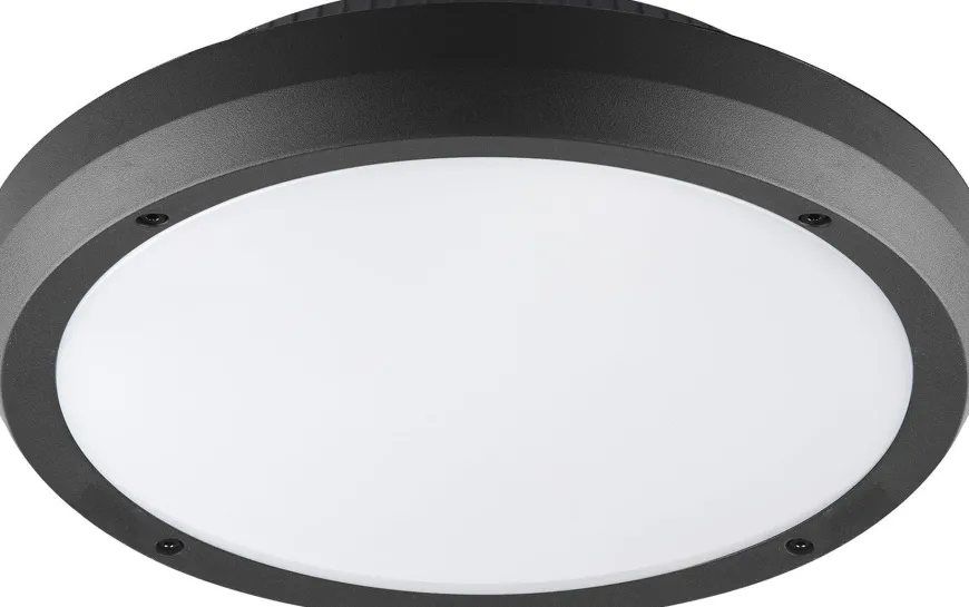 Luno taklampe 30 cm utendørs IP65 E27 - Grafitt grå