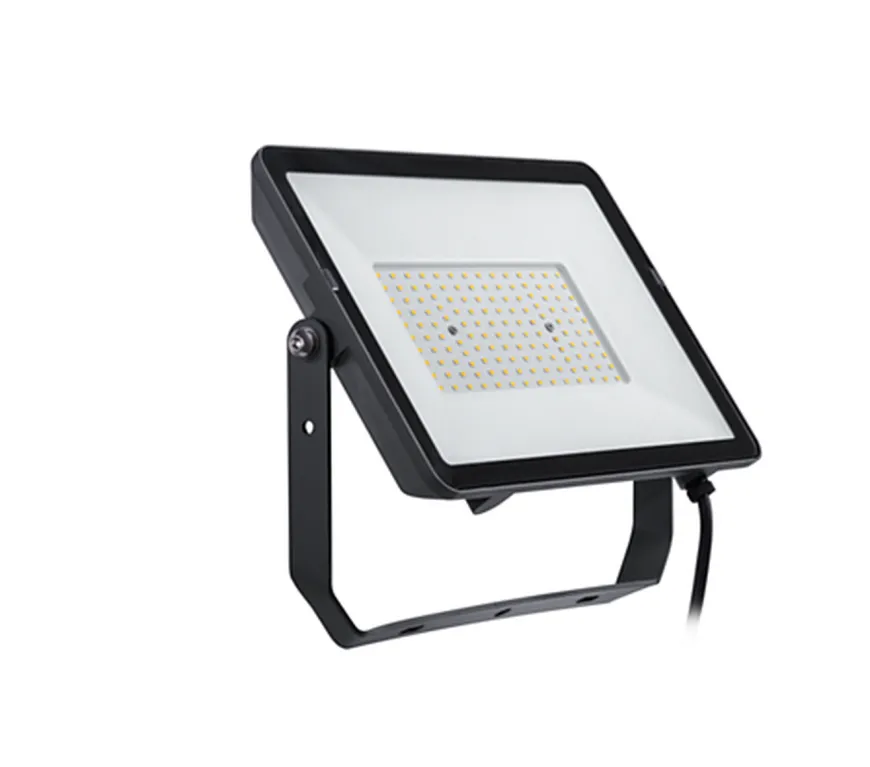 Philips ProjectLine lyskaster utendørs 100W 4000K IP65 - Svart